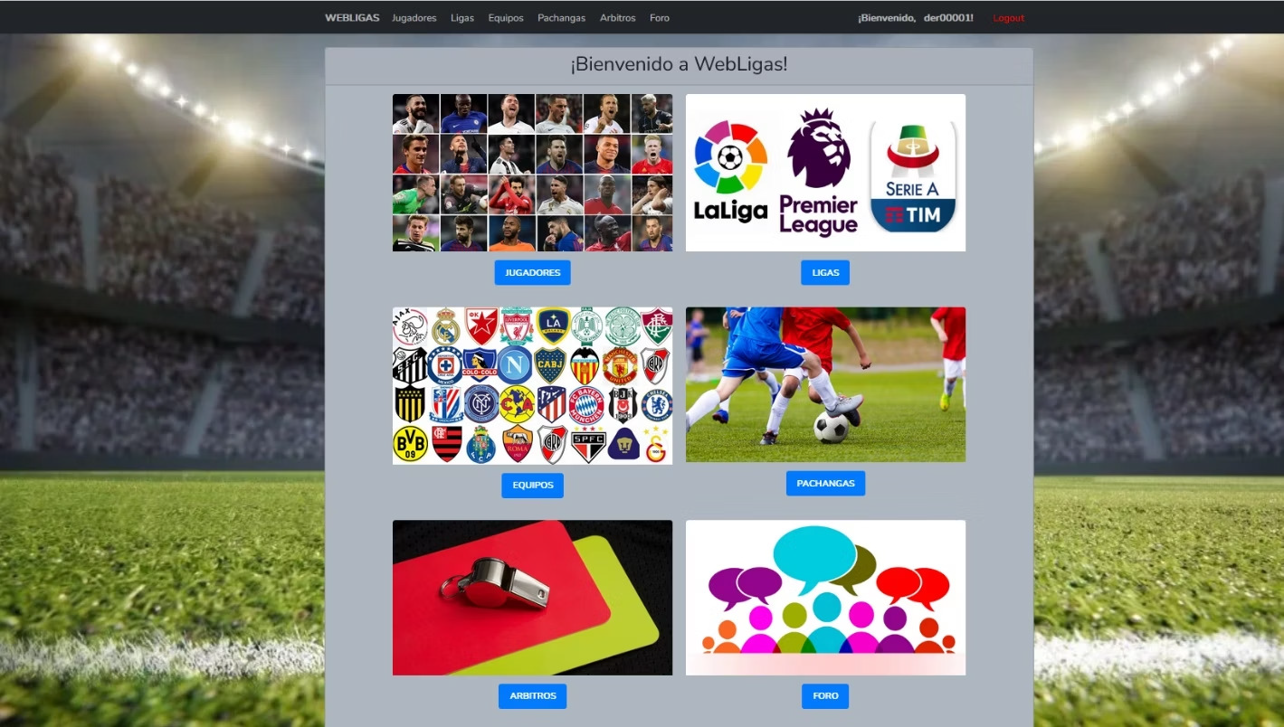 Web Ligas (en desarrollo)